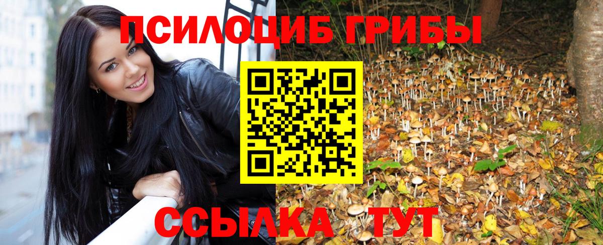 Псилоцибиновые грибы GOLDEN TEACHER Тосно