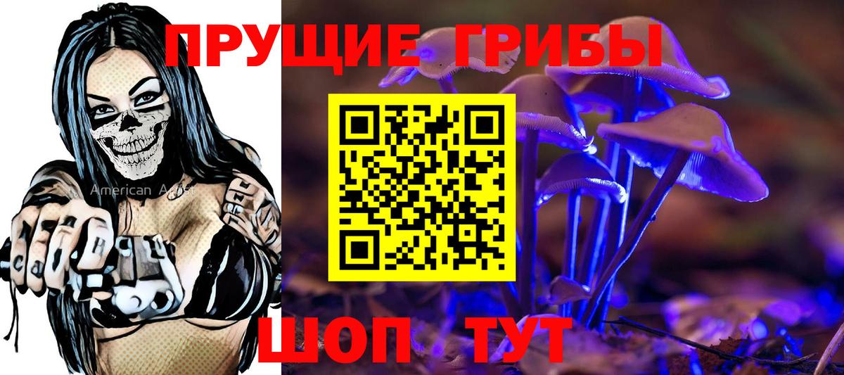 наркошоп  Вход с VPN  Галлюциногенные грибы GOLDEN TEACHER  Тосно  Галлюциногенные грибы MAGIC MUSHROOMS 
